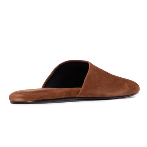 Black Suede Studio Shiloh Mule In Brown