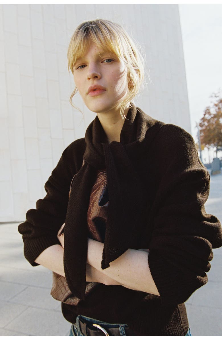 H&M Jumper With Scarf, Alternate, color, Dark Brown