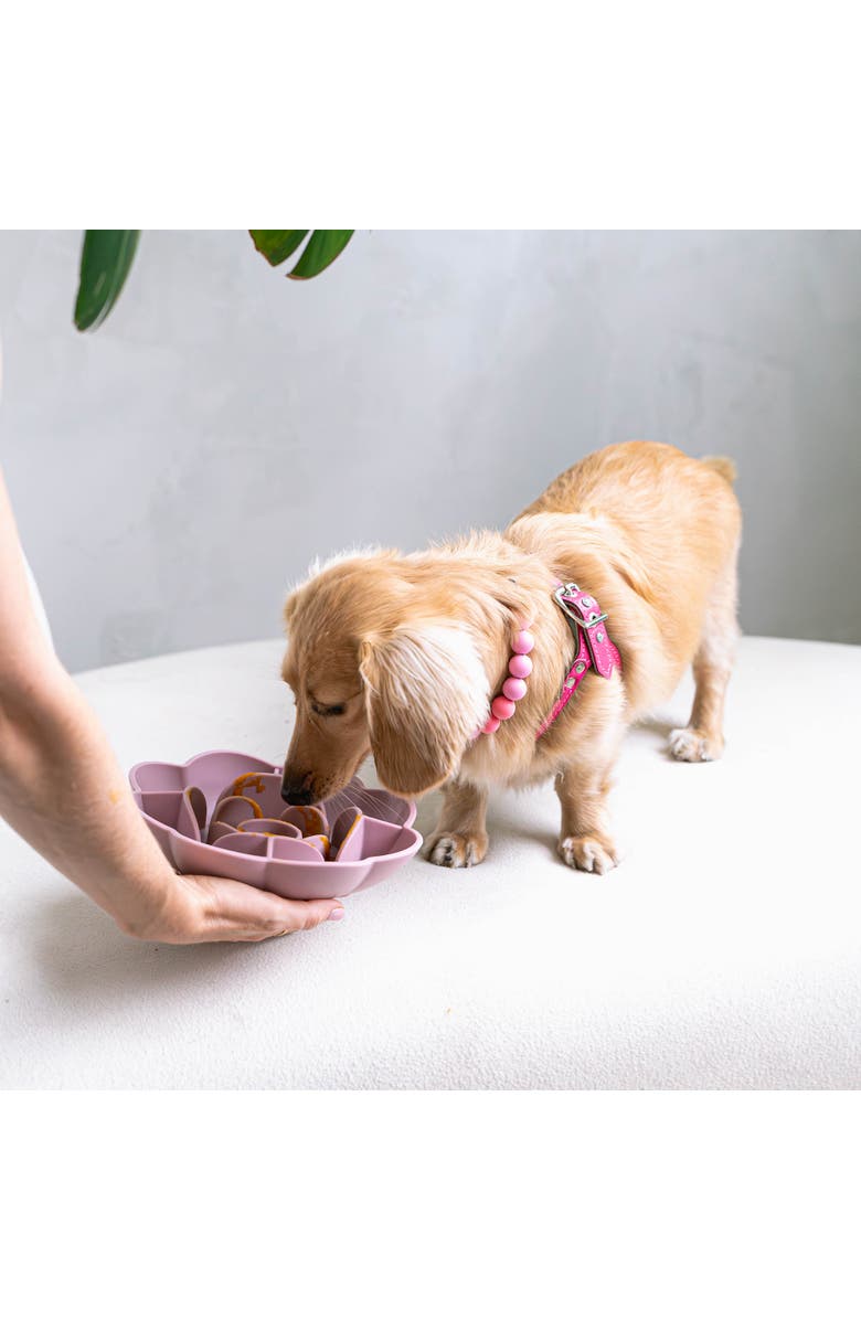 Dexypaws Flower Slow Feeder, Alternate, color, 