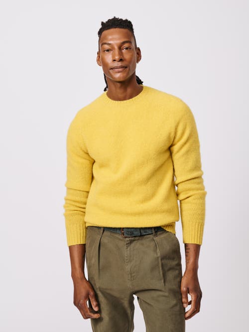Aubin Prestwick Shetland Crew Neck Sweater In Yellow