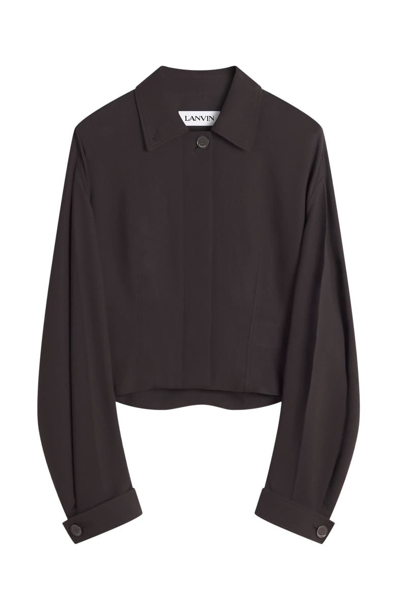 Lanvin Tailored Wool And Viscose Jacket, Alternate, color, 