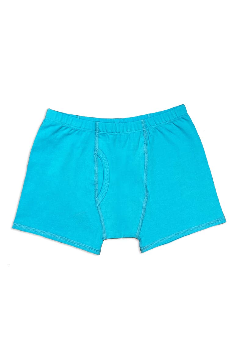 Organic Cotton Boys Boxer Brief Underwear 3-pk, Alternate, color, Blue Stripe