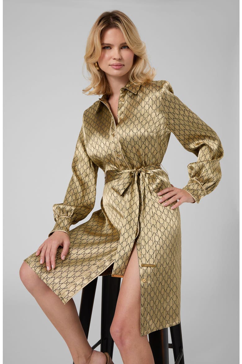 Sienna Belted Long Sleeve Shirt Dress, Alternate, color, GOLD