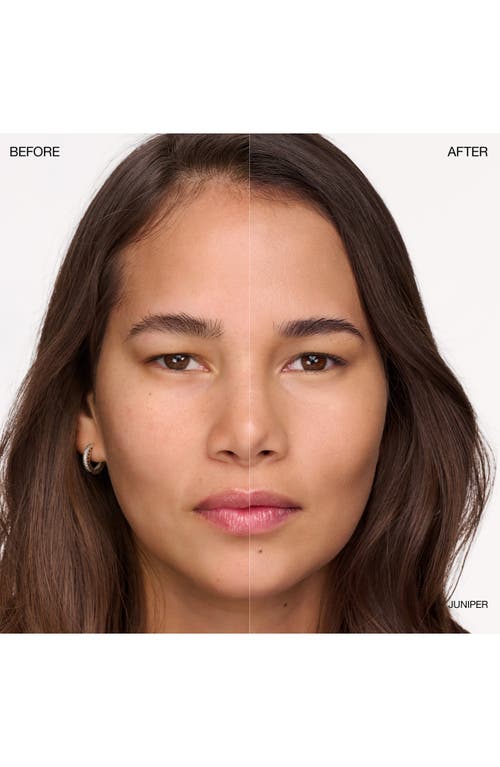 Ogee Complexion Perfecting Concealer In Green