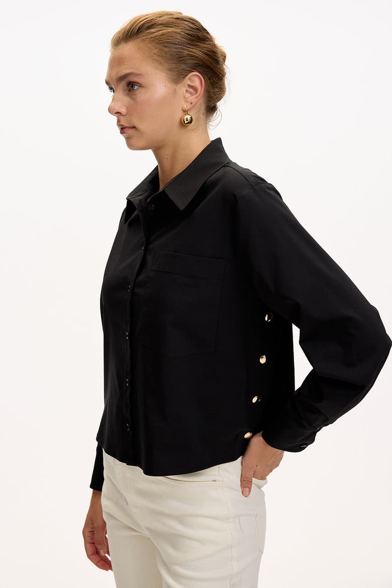 Theodora Long Sleeve Shirt, Alternate, color, BLACK