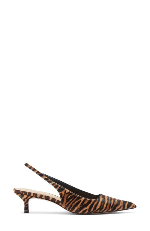 Steve Madden Kittie Slingback Pointed Toe Kitten Heel Pump In Brown