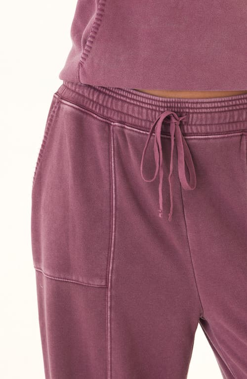Threads 4 Thought Lottie Sweatpants In Purple