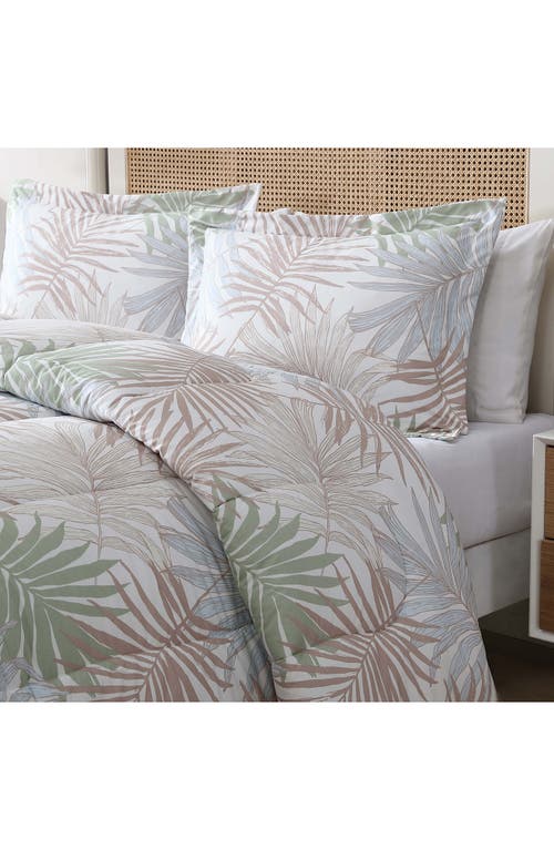 Beatrice Home Fashions Caribbean Joe Comforter & Shams Set