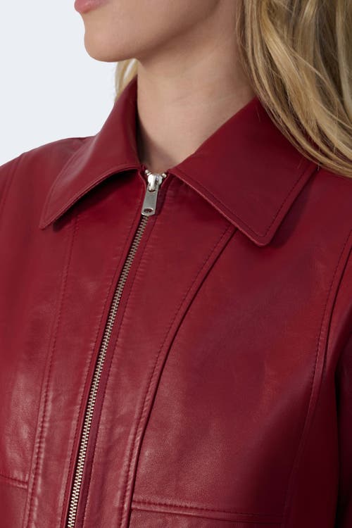 Furniq Uk Llc Daisy Leather Jacket In Red
