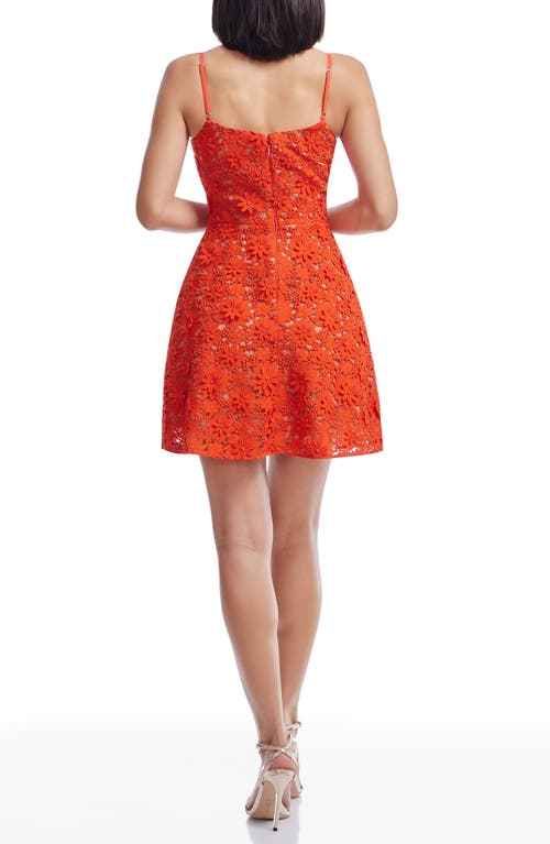 Dress The Population Ayla Floral Embroidered Minidress