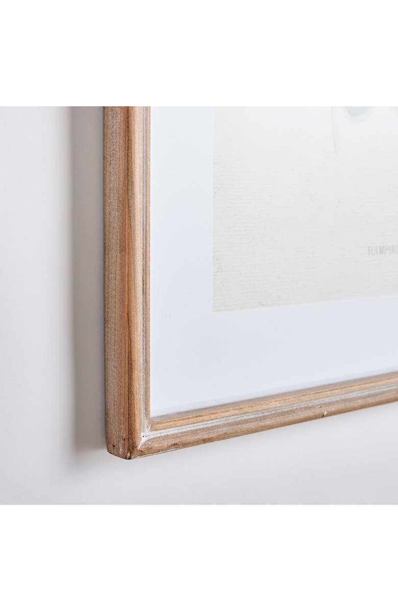 Napa Home & Garden Hummingbirds With Blush Blooms Framed Wall Art Set of 4, Alternate, color, Green