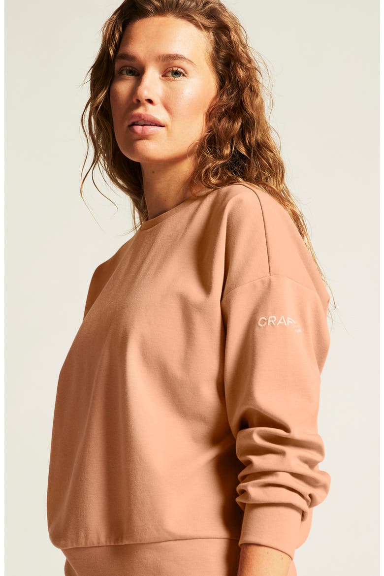 ADV Join Jersey Sweatshirt, Alternate, color, SYRUP