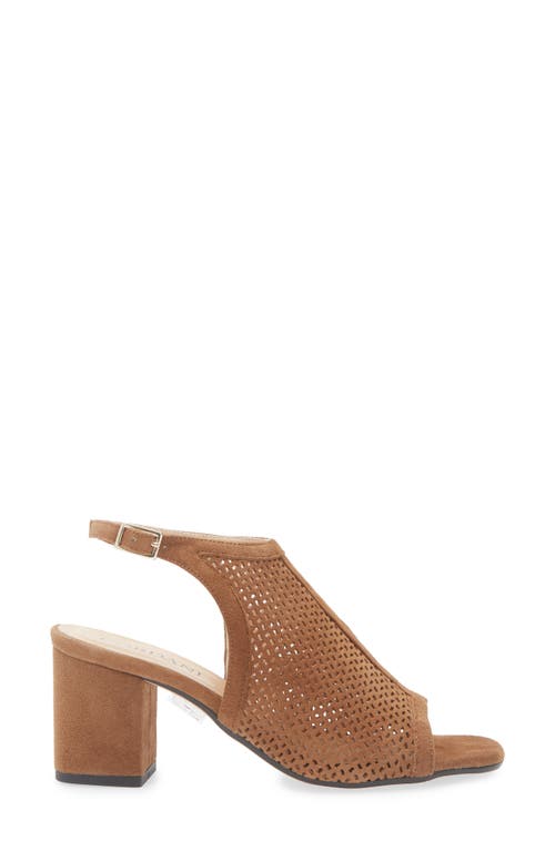 Cordani Illia Ankle Strap Sandal In Brown