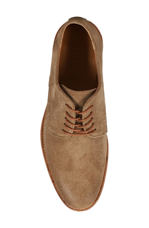 Frye Tyler Flex Derby In Mushroom