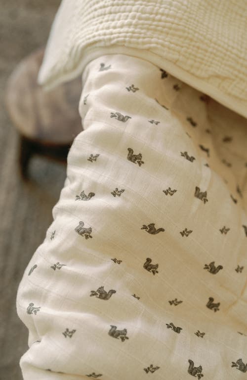 Oilo Organic Cotton Muslin Quilt & Sham Set In Squirrels
