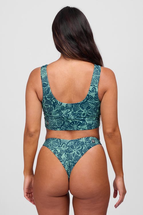 Shop Jolyn Jessica Bikini Bottom