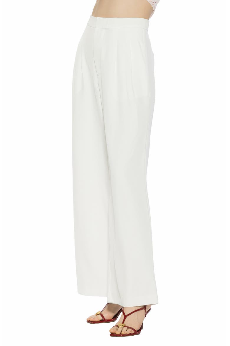 Arlo Pleated Wide Leg Pants, Alternate, color, IVORY