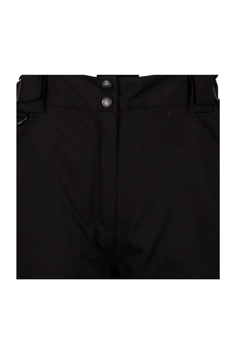Jayne Ski Trousers, Alternate, color, Black