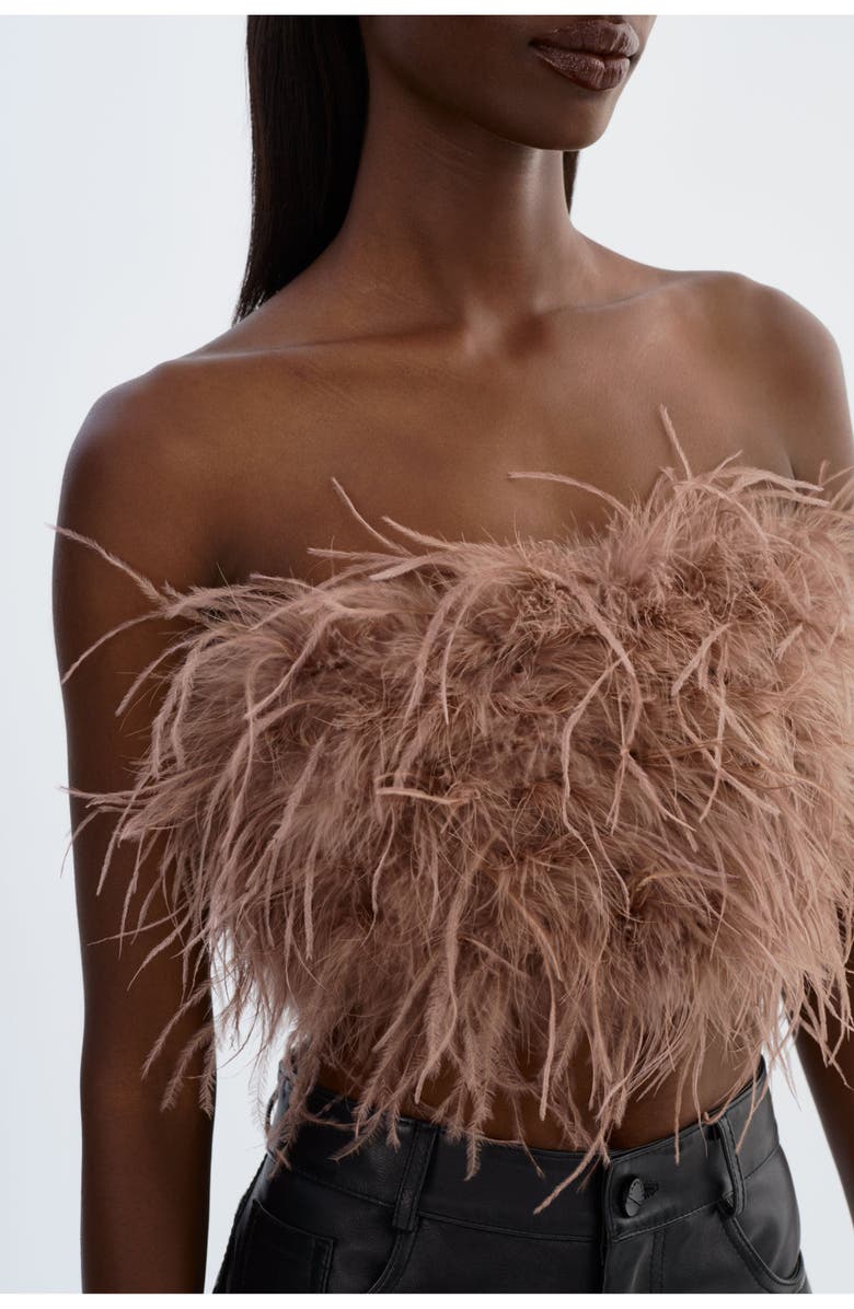 LAMARQUE Zaina | Feather Bustier, Alternate, color, Mink Brown