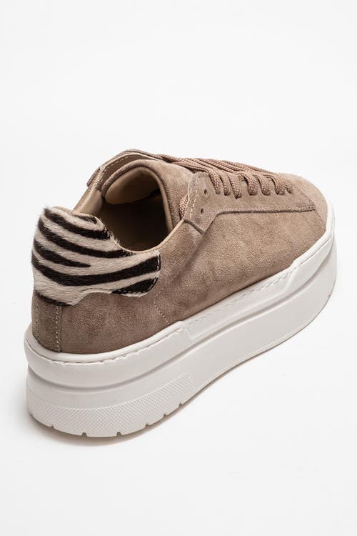 Forever & Always Shoes Anabel Leather Platform Sneakers In Multi