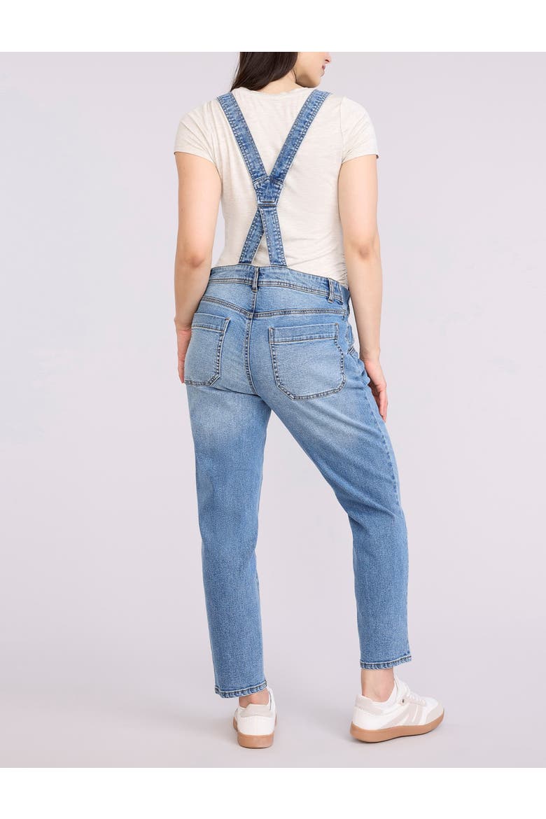 Relaxed Fit Maternity Denim Overall, Alternate, color, Lake Wash