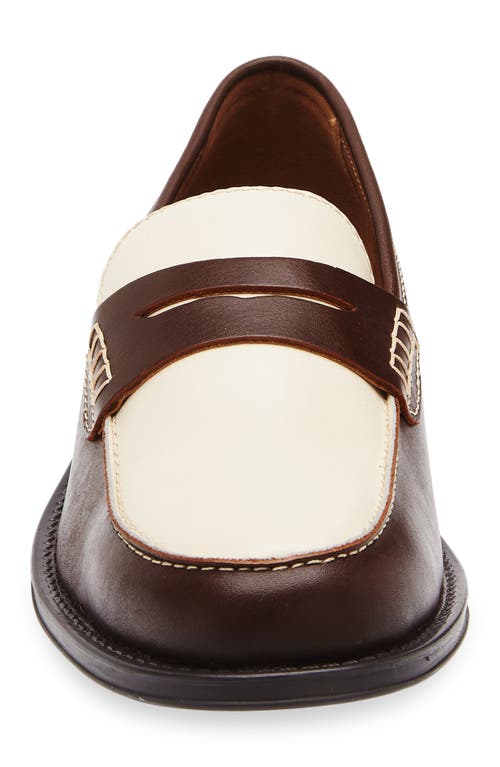 Steve Madden Draggo Penny Loafer In Brown
