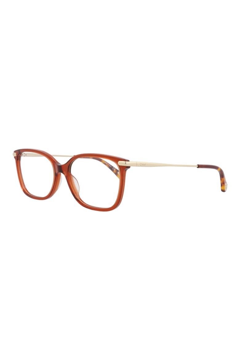 48mm Rectangle Optical Frames, Alternate, color, BROWN GOLD TRANSPARENT