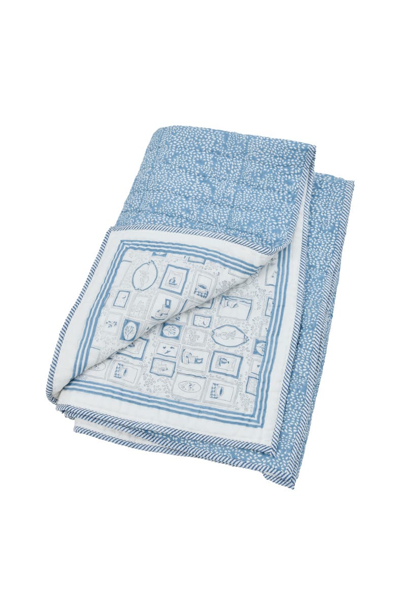 A Quiet Inheritance Hand Block Printed Quilts, Main, color, Indigo Blue