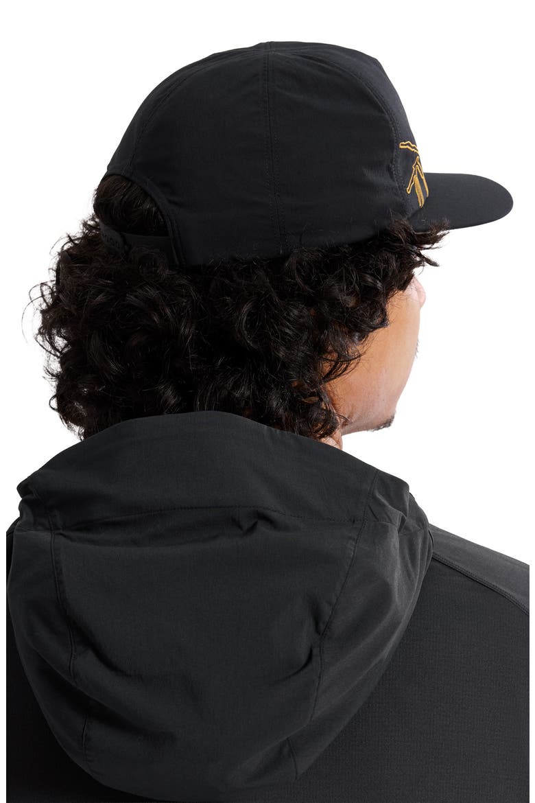 Silex Embroidered Snapback Baseball Cap, Alternate, color, 24K BLACK