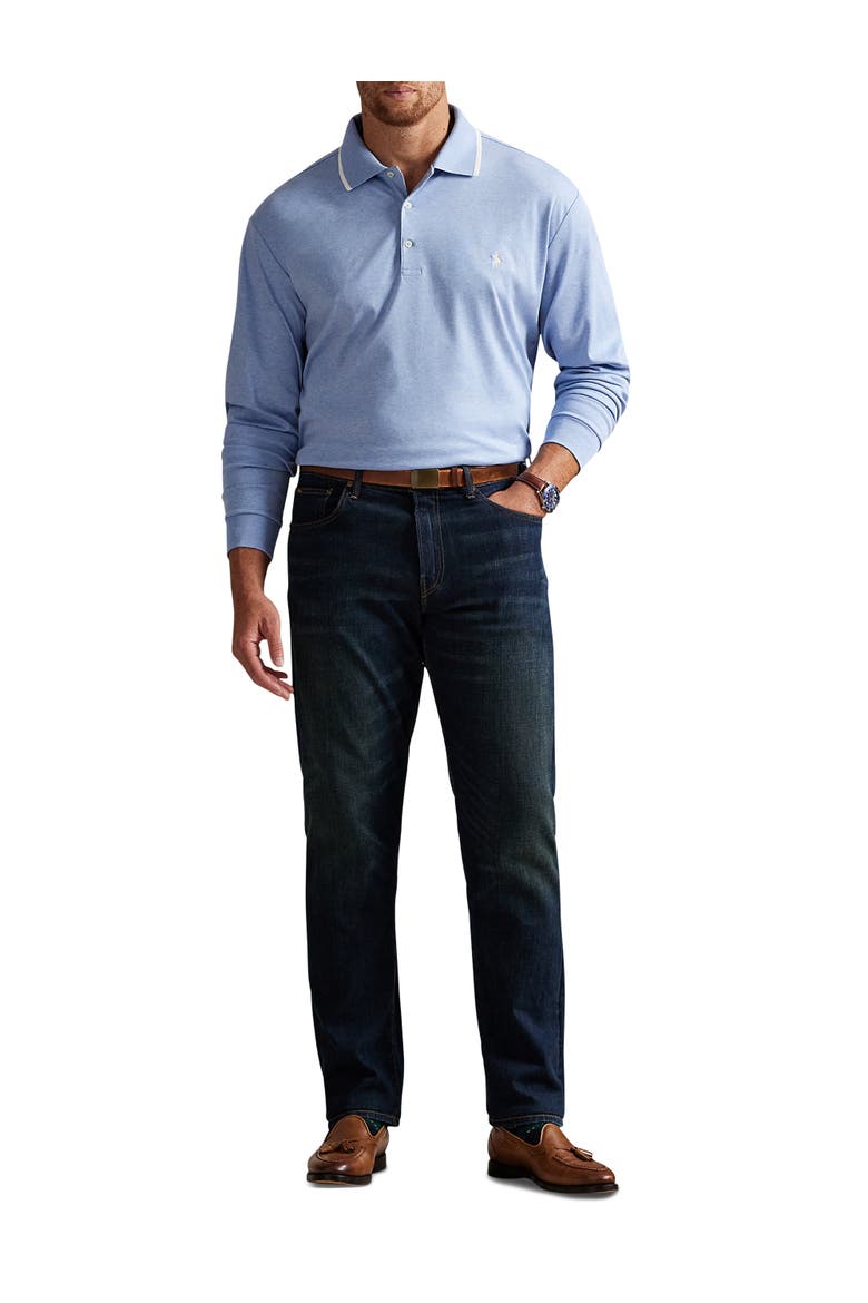 Big & Tall Long-Sleeve Polo Shirt, Alternate, color, ISLE HEATHER