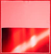 Dries Van Noten Foulard Raving Rose