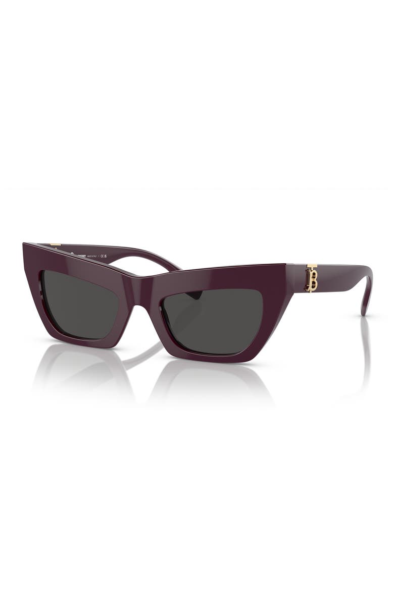 51mm Cat Eye Sunglasses, Alternate, color, BORDEAUX