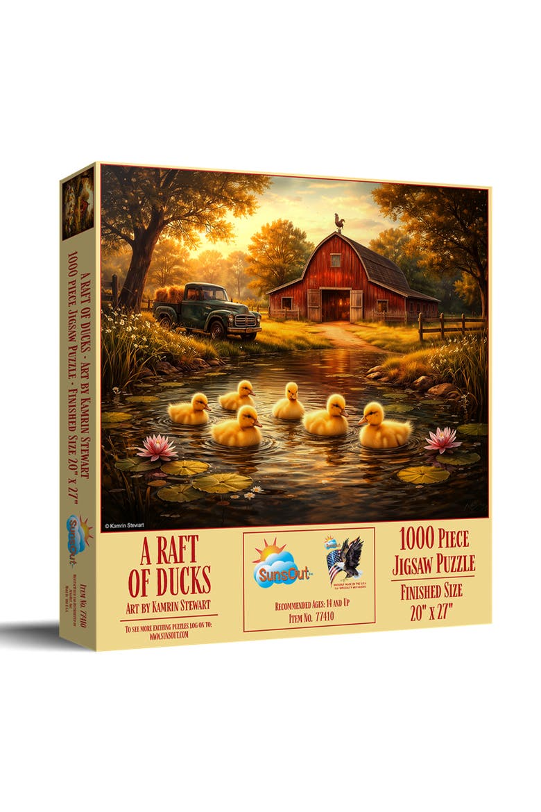 A Raft of Ducks 1000, Main, color, Multicolor