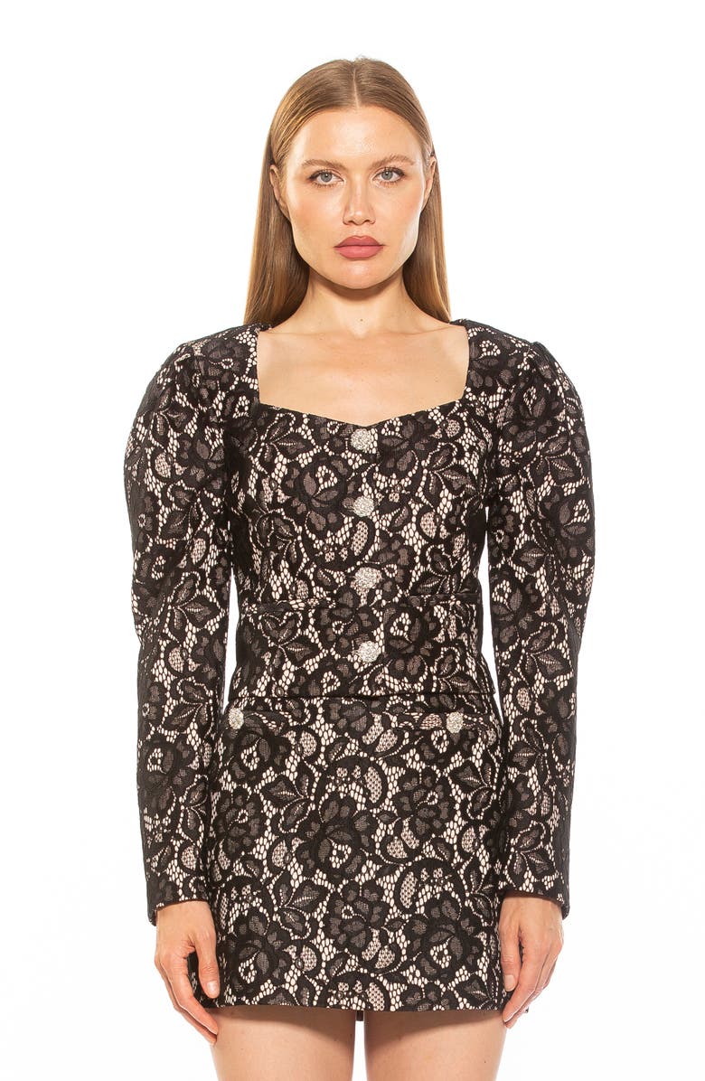 Alexia Admor Rowan Lace Jacket, Alternate, color, Black