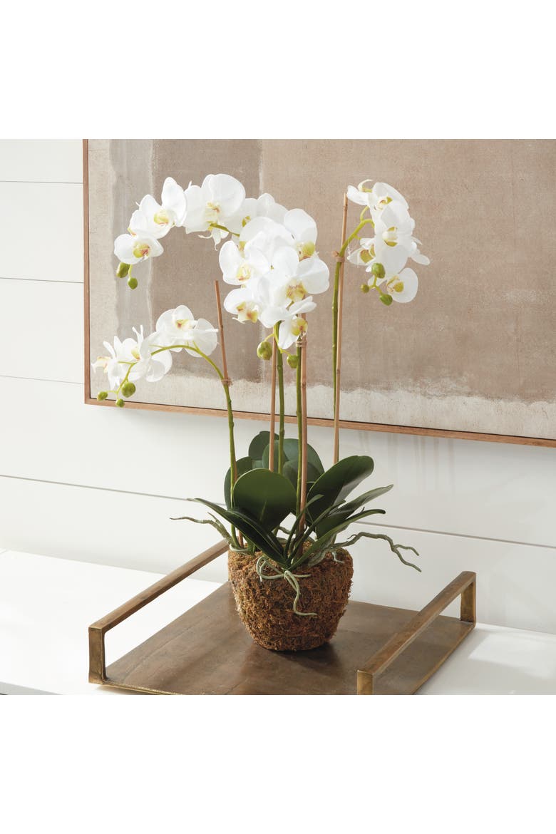 Phalaenopsis Orchid Faux (Fake) Drop-In 30", Main, color, White