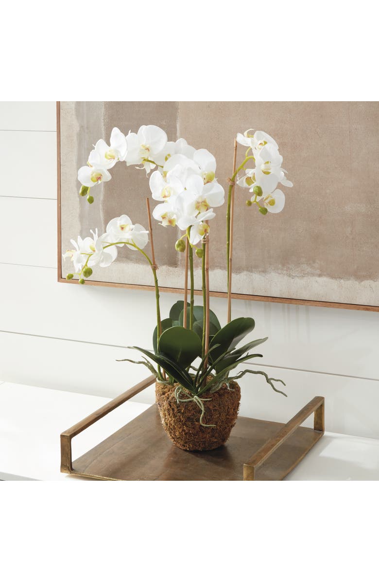 Napa Home & Garden Phalaenopsis Orchid Faux (Fake) Drop-In 30", Main, color, White