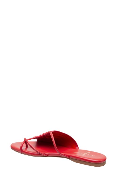 Linea Paolo Lane Toe Loop Sandal In True Red