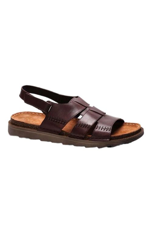 A. Veer Maldiva Back Strap Sandal in Brown Leather  product