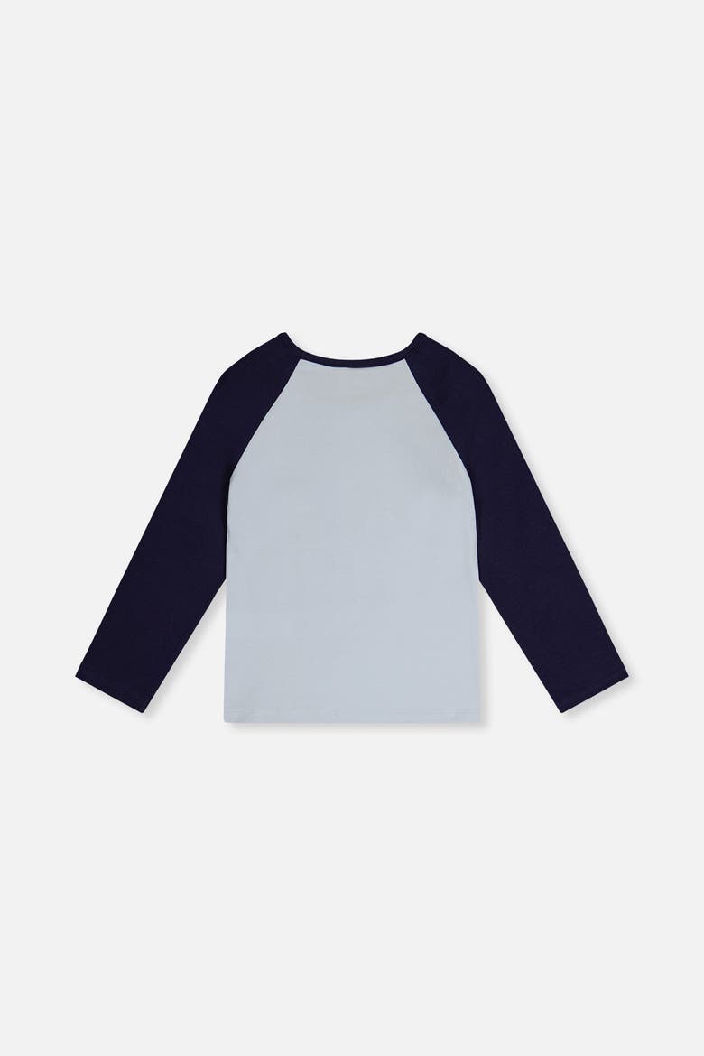 Contrast Raglan Organic Cotton Crew Neck T-Shirt, Alternate, color, Dark and Pale Blue