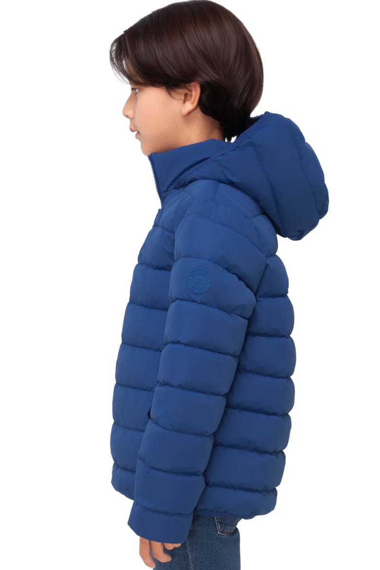 Kids' Hudson Lightweight Hooded Puffer Jacket, Alternate, color, Blue