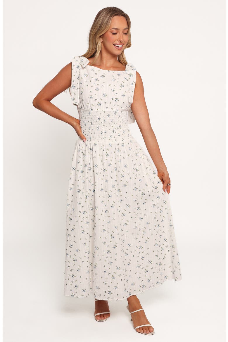 Leticia Tie Strap Maxi Dress, Alternate, color, BLUE DITSY FLORAL