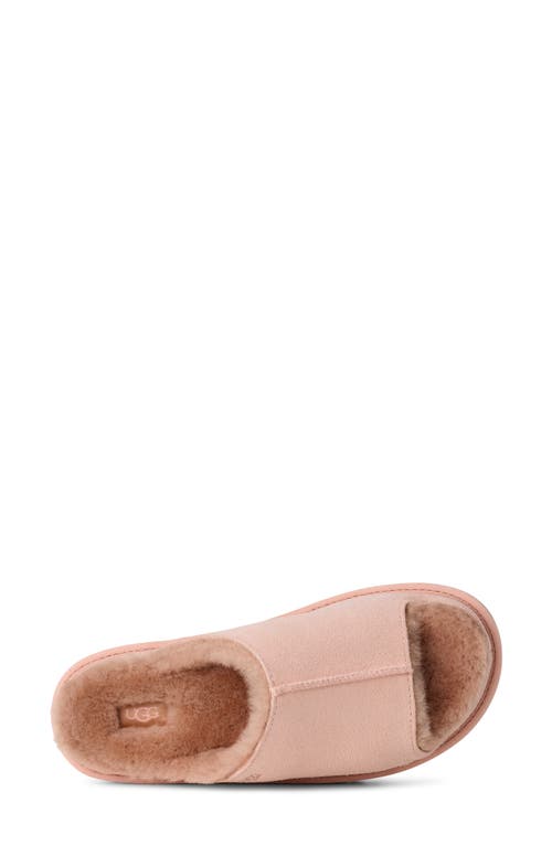 Ugg(r) Greenport Genuine Shearling Lined Slide Sandal In Pink