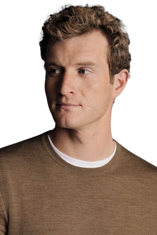 CHARLES TYRWHITT CHARLES TYRWHITT PURE MERINO CREW NECK SWEATER