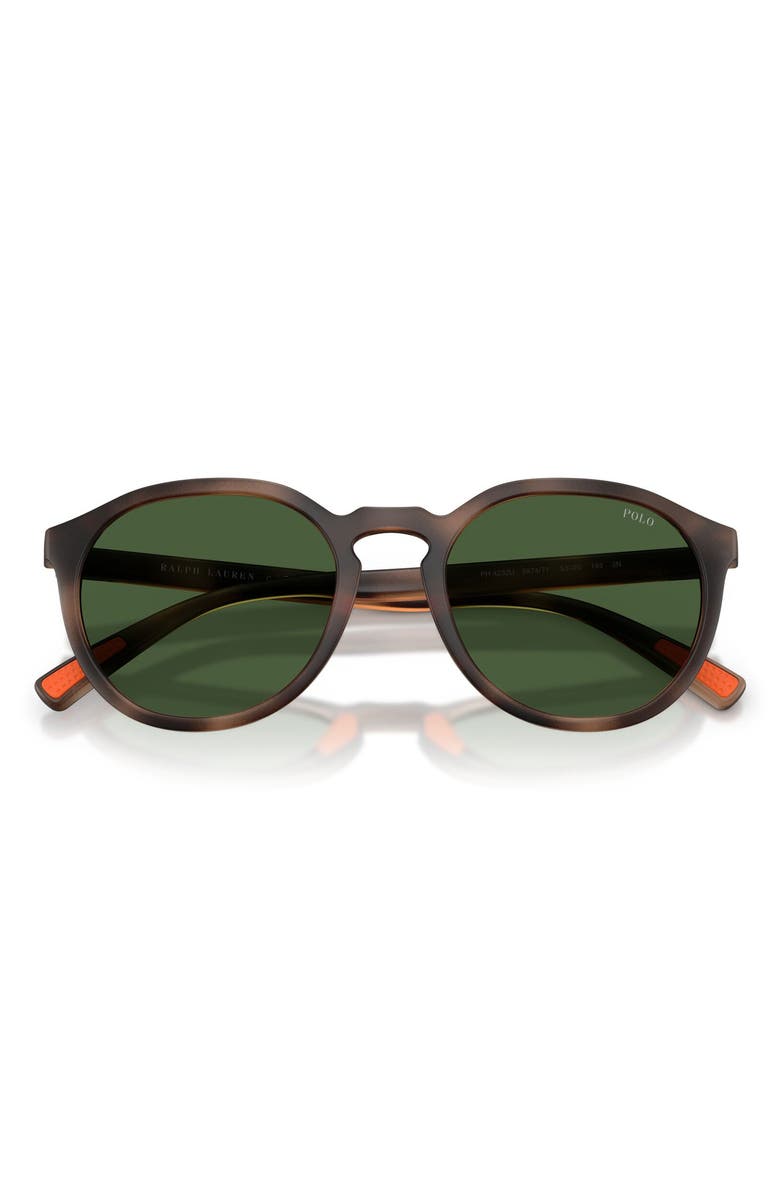 Polo Ralph Lauren 53mm Round Sunglasses, Alternate, color, Matte Dark Havana / Green