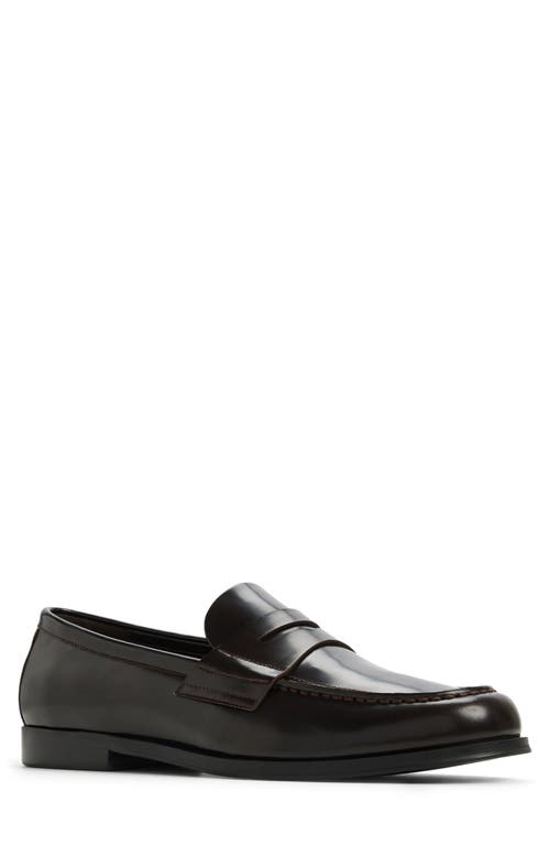 Aldo Keifer Penny Loafer In Black