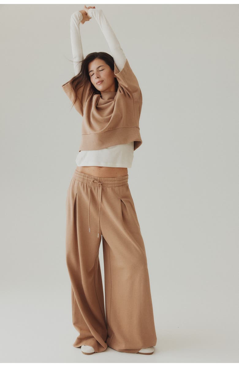 H&M Pleat-detail drawstring pants, Main, color, Dark Beige