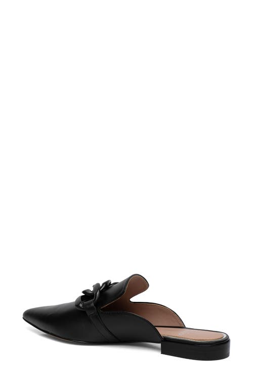 Linea Paolo Adora Pointed Toe Mule In Black