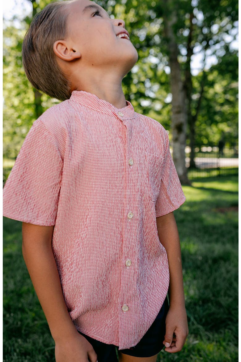 Baker Top, Alternate, color, Red Gingham