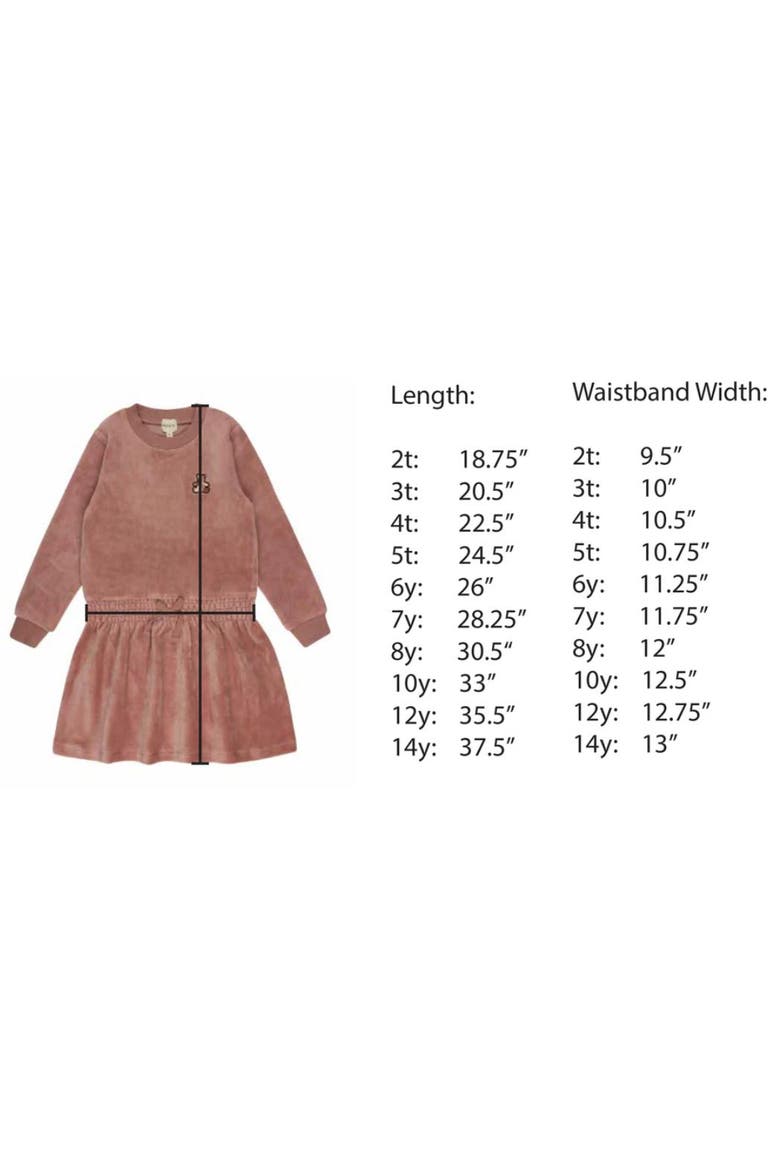 Velour Plaid Bear Collection - Dress(Toddler, Little Kid & Big Kid), Alternate, color, Blue