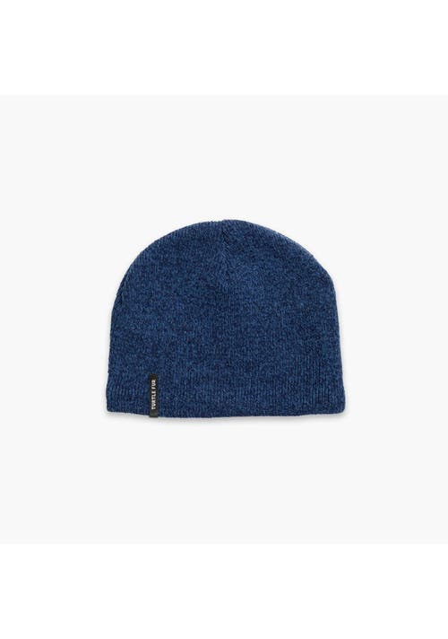Turtle Fur N.e. Wool Beanie In Blue